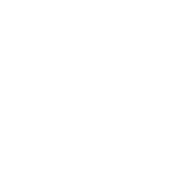 check-list icon